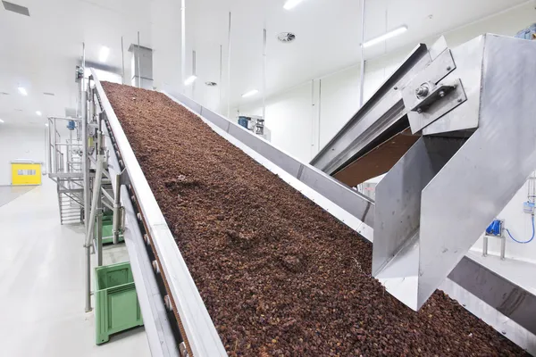 Raisins secs dans les emballages d'usine de production de raisins secs — Photo