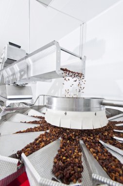 Kuru üzüm kuru üzüm üretim fabrikası ambalajında