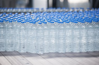 Konveyör bant üzerine plastik şişe
