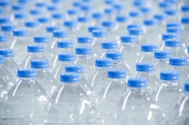 Konveyör bant üzerine plastik şişe