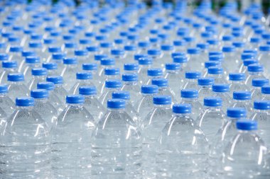 Konveyör bant üzerine plastik şişe