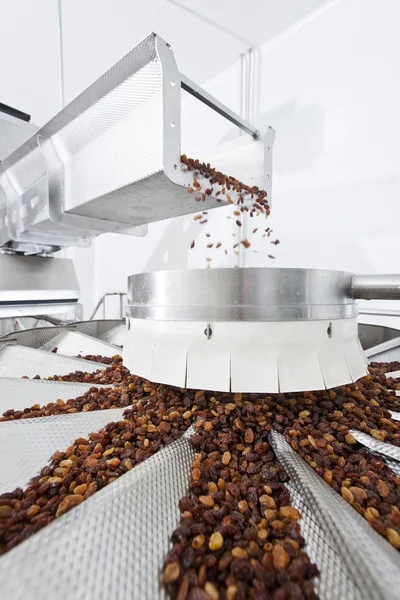 Passas em embalagens de fábrica de produção de passas — Fotografia de Stock