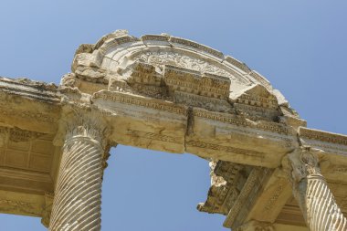 Aphoridisias