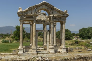 Aphoridisias
