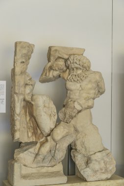 Aphoridisias