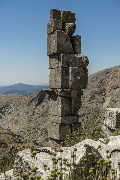 Антонія зимовий сад в sagalassos, Туреччина — стокове фото