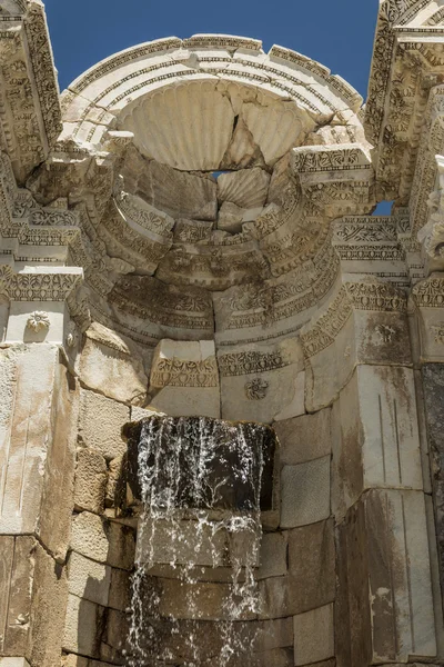 Антонія зимовий сад в sagalassos, Туреччина — стокове фото