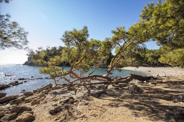 Antalya Kemer 'deki Phaselis Antik Şehri. Muhteşem plajlar, sakin deniz, muhteşem şnorkeller ve hayal gücünü kuran antik harabeler içinde her şey hazır. Çok güzel ve tarihi bir yer. Çok sessiz bir plaj..