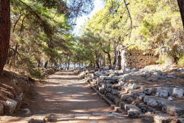 Antalya Kemer 'deki Phaselis Antik Şehri. Muhteşem plajlar, sakin deniz, muhteşem şnorkeller ve hayal gücünü kuran antik harabeler içinde her şey hazır. Çok güzel ve tarihi bir yer. Çok sessiz bir plaj..