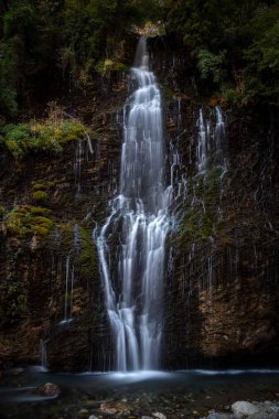Elif Şelalesi, Kapuzbasi Şelalesi Aladaglar Ulusal Parkı 'nda Şelale çevresinde yeşil ağaçlar