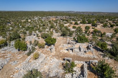Asagi Dunya Obrugu, Mersin.