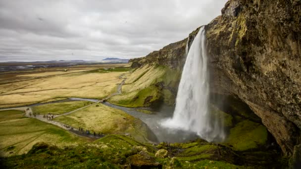 Водопад Сельджаландсфосс Исландия Timelapse — стоковое видео