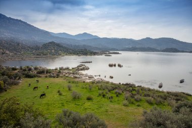 Lake Bafa is a lake and a nature reserve situated in southwestern. At the innermost north-east tip of the lake is the village of Kapikiri, as well as the ruins of Heraclea by Latmus.