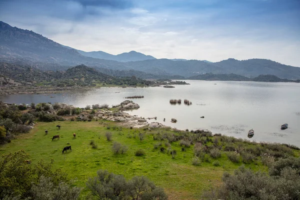 Bafa Gölü, güneybatıda yer alan bir göldür. Gölün en iç kuzey-doğu ucunda Kapikiri köyü ve Latmus 'un Heraclea harabeleri bulunur..