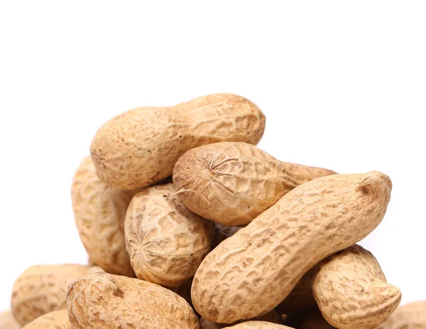 White background and peanuts — Stock Photo, Image