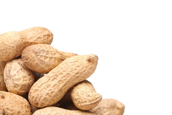 White background and peanuts left — Stock Photo, Image