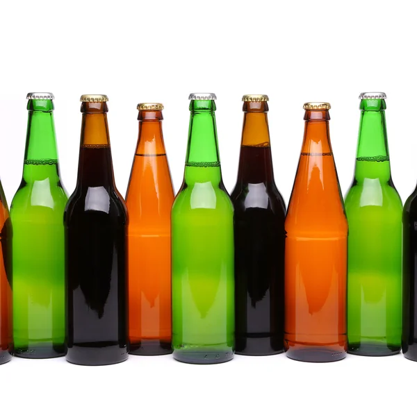 Bottles of beer in row — Stock Photo, Image