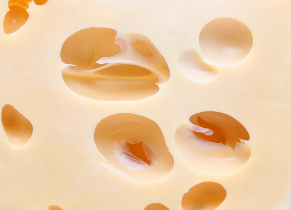Närbild ost med hål — Stockfoto