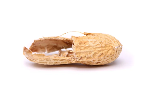 Uma casca de amendoim close-up — Fotografia de Stock