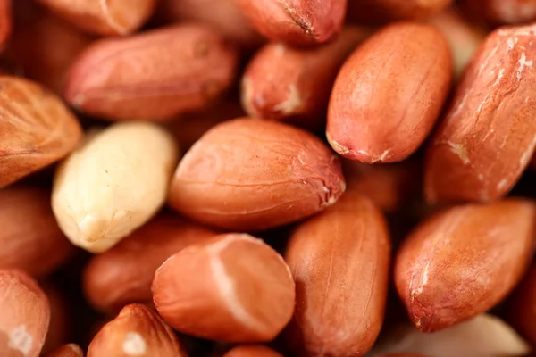 Extreme close-up image of peanuts — Stock Photo, Image