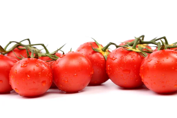 トマトの 2 つのクラスター — ストック写真