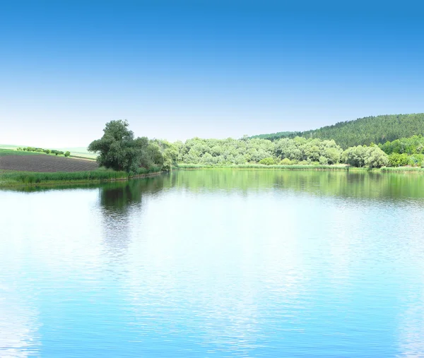 Un lac, reflet des arbres — Photo