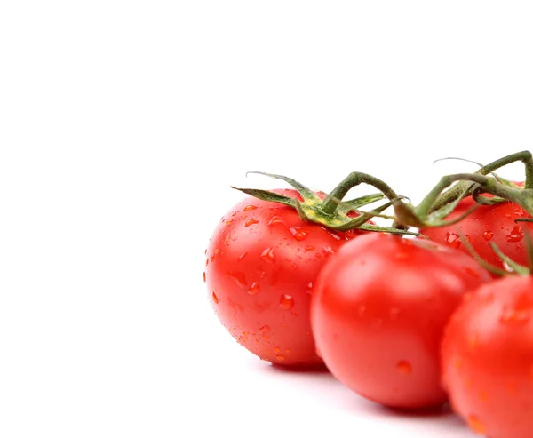 フレームの明るい赤いトマト — ストック写真