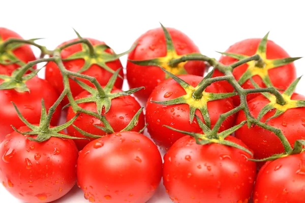 Fotoğraf çok taze domates — Stok fotoğraf