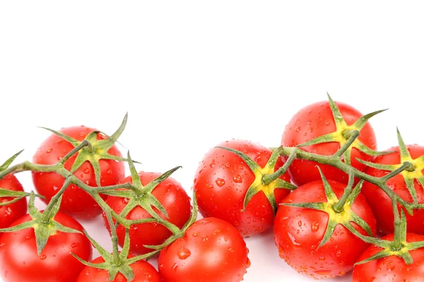 Two clusters of small red tomatoes — Stock Photo, Image