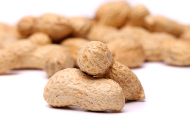 iki fıstık fıstık arka planda portre