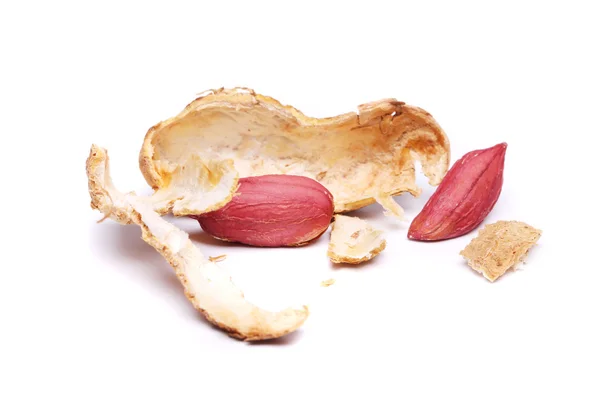 A casca de amendoim isolado — Fotografia de Stock