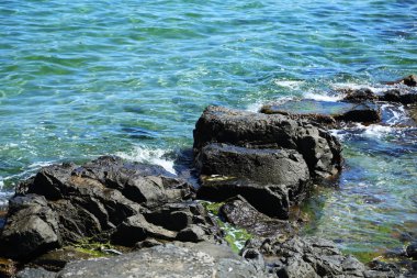 mavi deniz, kıyı ve parlak ıslak taşlar