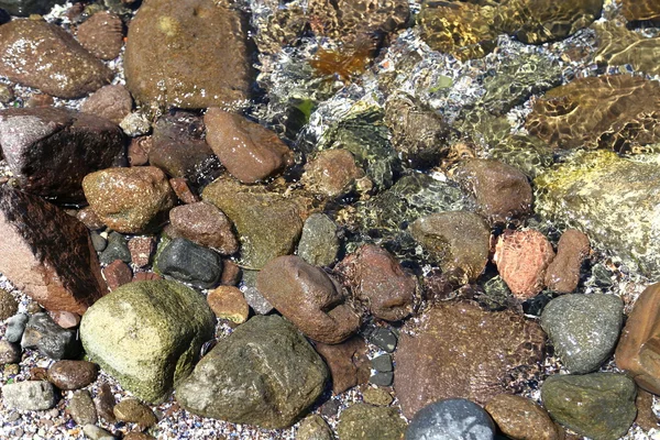 Pedras molhadas na praia . — Fotografia de Stock