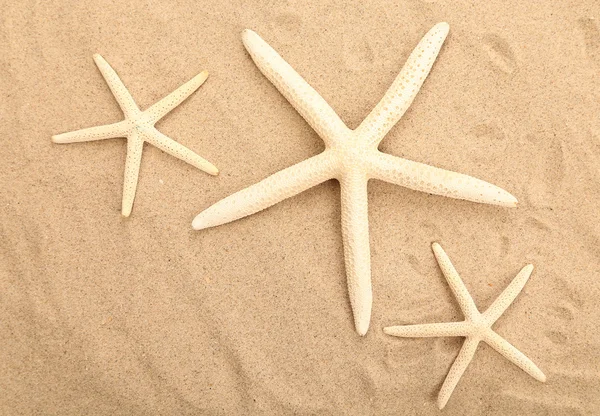 Tre starfishes ligger på sandstranden bakgrund — Stockfoto