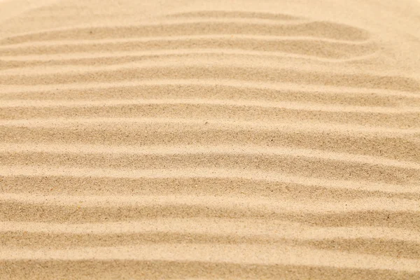 Seamless sand on a whole background. Texture. — Stock Photo, Image