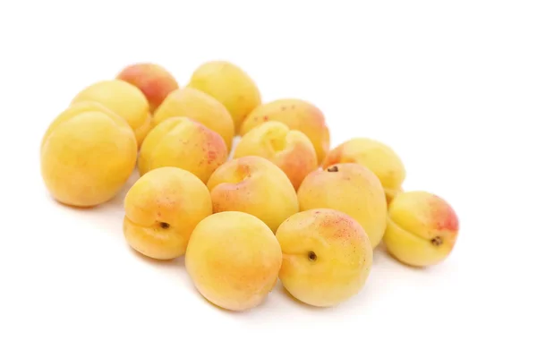 Lot of fresh apricots isolated — Stock Photo, Image