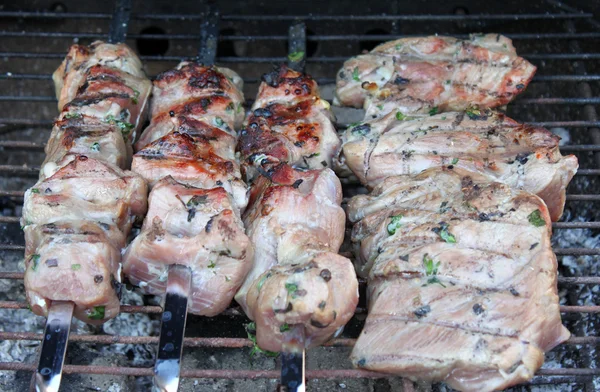 Varas de churrasco com variação de uma carne — Fotografia de Stock