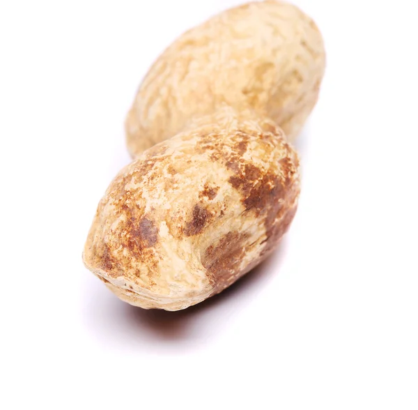 Amendoim isolado em um fundo branco de perto — Fotografia de Stock