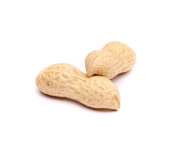 Due baccelli di arachidi su fondo bianco . — Foto Stock