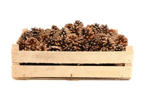 Pine cones in the wooden box — Stock Photo, Image