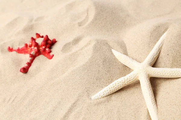 砂の背景に赤と白のヒトデ. — ストック写真
