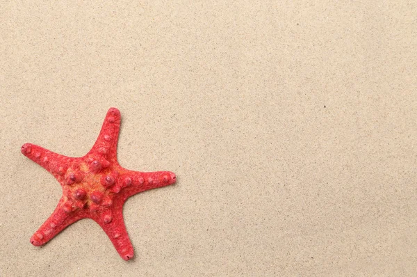 Étoile de mer rouge sur fond de sable . — Photo