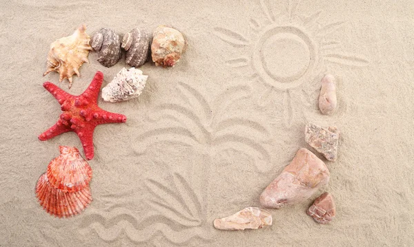 Kum, kabukları, taşlar ve denizyıldızı bileşimi — Stok fotoğraf