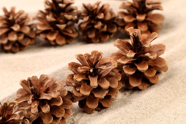 Fond de cônes de pin disposés sur le sable — Photo