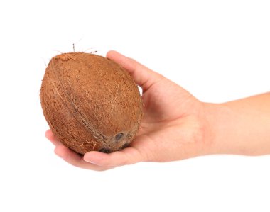 Beyaz arka plan üzerinde izole elinde Hindistan cevizi