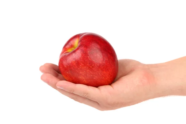 Ripe red apple on hand. — Stock Photo, Image