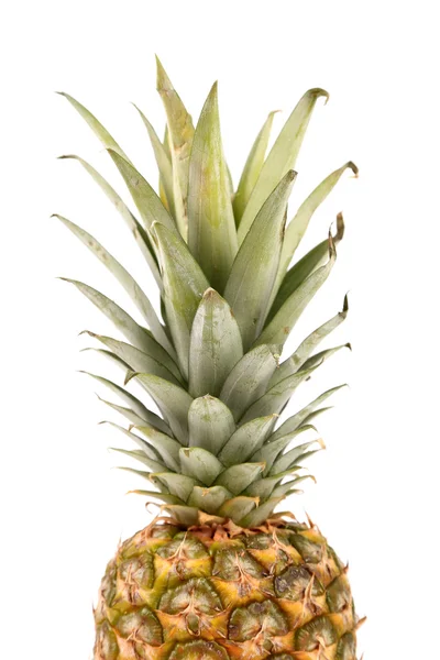 Top färsk ananas. — Stockfoto