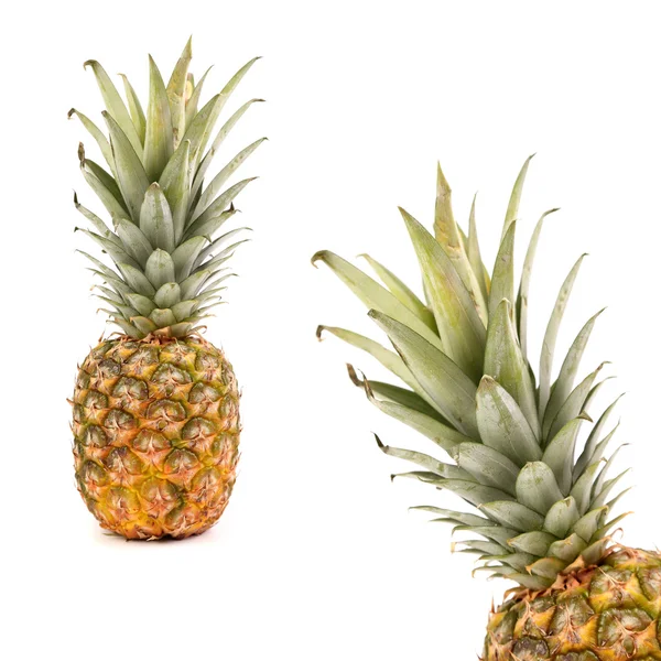 Frame consisting of two pineapples. — Stock Photo, Image