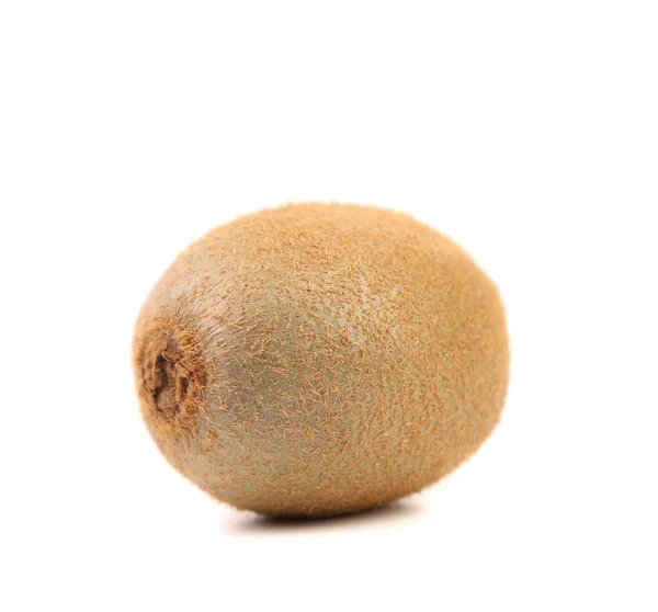 Kiwi fruit isolé sur fond blanc — Photo