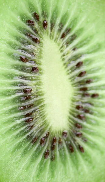 Kiwi come sfondo. macro — Foto Stock